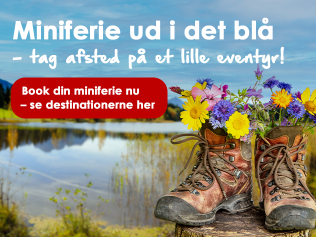Miniferie 2023