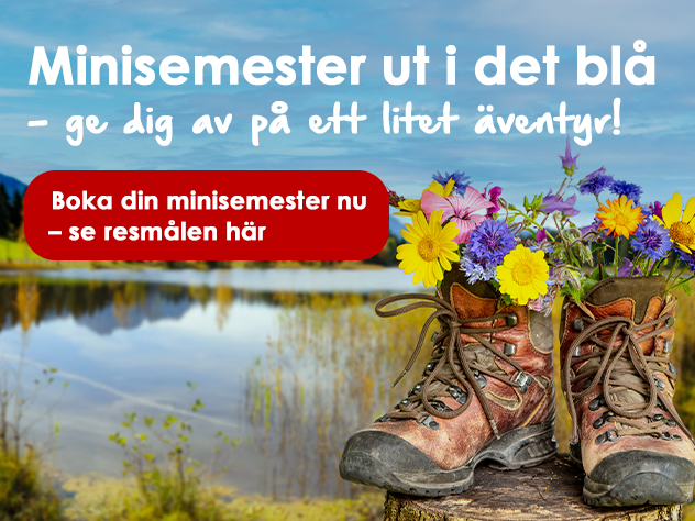 Minisemester 2023