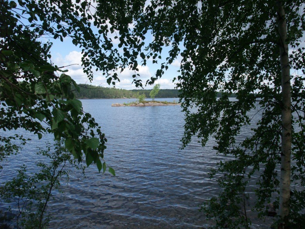 blog image