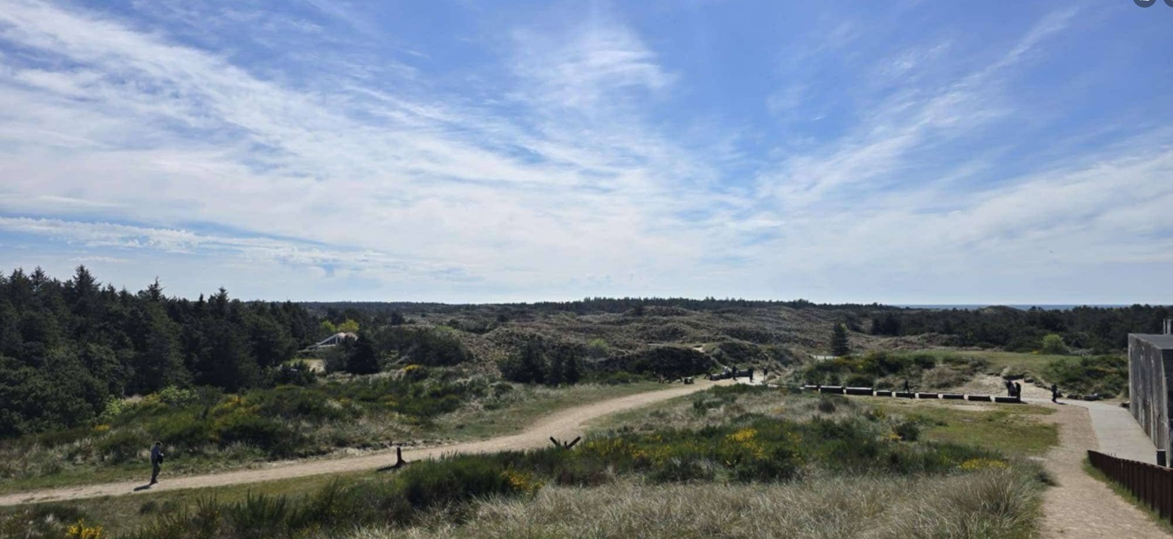 blog image