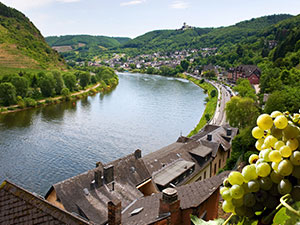 mosel