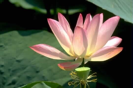 blog_image