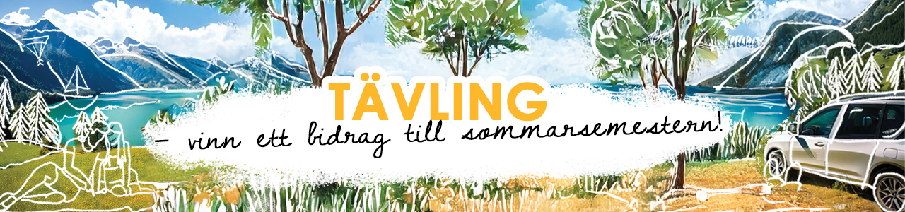 Tilskud sommerferie se
