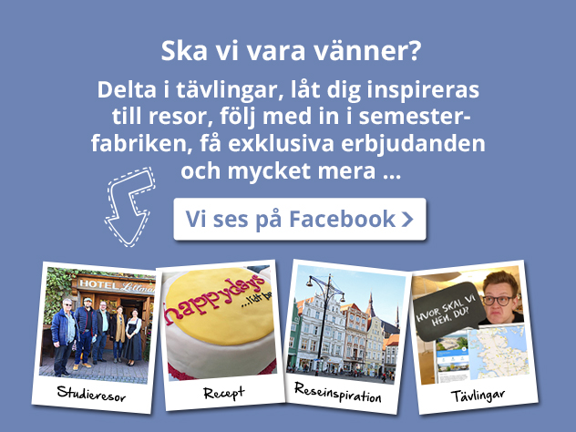 facebook feed se