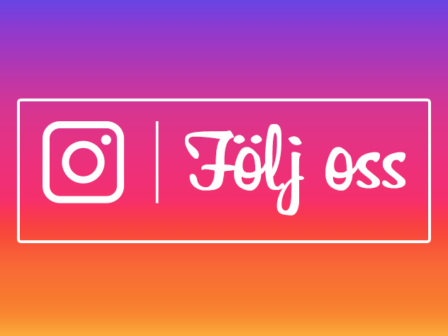 instagram feed se